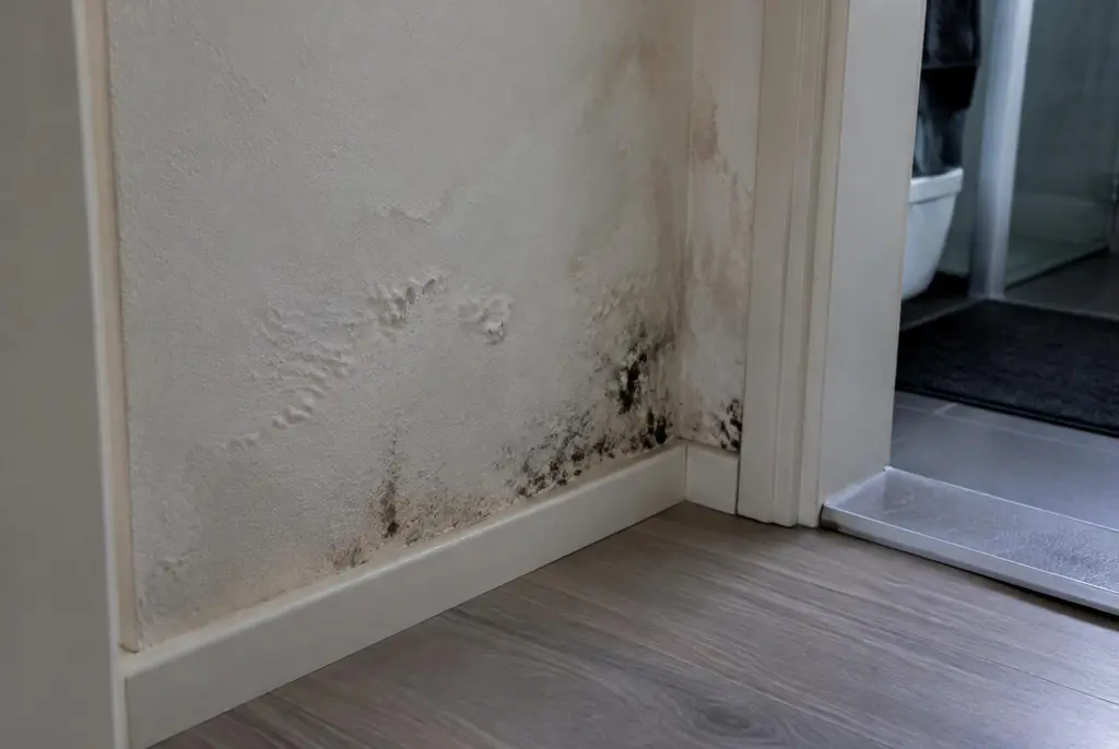 Lekdetectie Doetinchem – vochtplek met schimmel op een muur